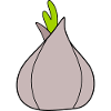 Onion vegetables vegan