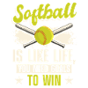 Softball Coach Ball Game