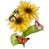Beautiful Butterflies Sunflower Women Garden
