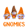 4 Camping with my gnomies