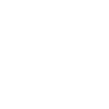 Visionary