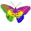 Rainbow Butterfly