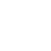 Goose Squad Nette Gänse Wildvögel