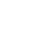 Pislink