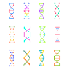 DNA genetics stem biology