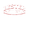 Bester Scheidungscoach - Scheidungsparty Scheidung