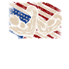 Arm Wrestling USA Bandiera Armwrestling Sport Power
