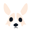 Corgi Rosa