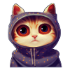 Chat mignon 3