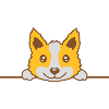 Dog looking behind the wall