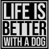 better with a dog