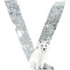 V – dekoratives Schriftzeichen – Winter