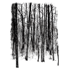 Winter Forest