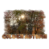 Sunny GoldenAutumn