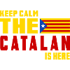 Keep Calm Catalonia flag design