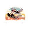 Parachutist Skydiving Parachute
