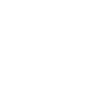 Iranian lives matter