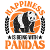 Panda Lucky Panda Bear