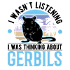 Gerbil Racing Rat Gerbil