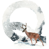Q – decorative character – winter