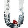 U – dekoratives Schriftzeichen – Winter