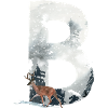 B – dekoratives Schriftzeichen – Winter