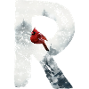 R – dekoratives Schriftzeichen – Winter