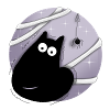 Katze mit Spinne