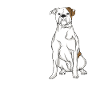 American Bulldog Gift Dogs