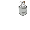 American Bulldog Gift Dogs