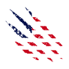 American Flag