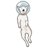 Bull Terrier Space