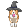 Corgi Hexe