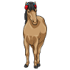 Casque de musique de cheval