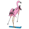 Flamingo Skier Ski