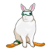 Ski Lapin Skieur