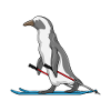 Penguin Skier Ski