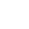 Calm lion's head
