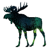 Moose 3