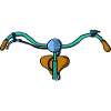 Bicycle handlebars