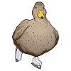 Patins à glace de canard