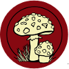 Toadstool, mushroom picker, poisonous, ranger