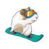 Guinea Pig Snowboarder Snowboard