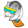 Hamster Snowboarder Snowboard