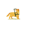 Dog trainer Dog trainer