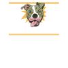 Dog trainer Dog trainer