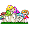 Bunte Pilze