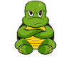 Nope Funny Lazy Turtle