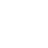Skien