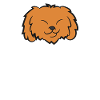 Cockapoo Dog Mama Cockapoo Mom